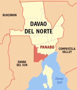 Quick Facts about Panabo City .